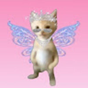 Meet your Posher, Eme